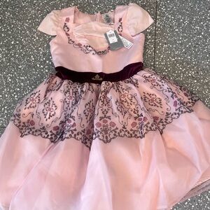 New with tags stunning Disney dress Pink Floral Embroidered